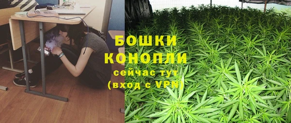 шишки Арсеньев