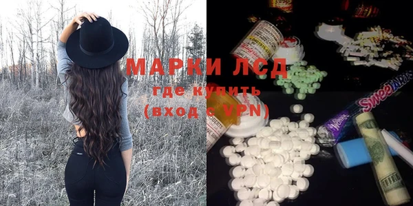 шишки Арсеньев
