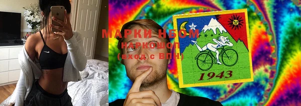 шишки Арсеньев
