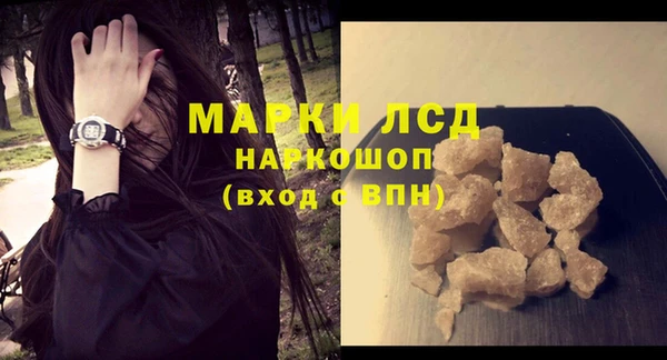 шишки Арсеньев