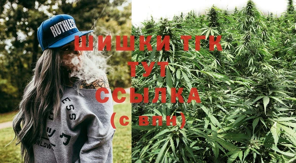 шишки Арсеньев